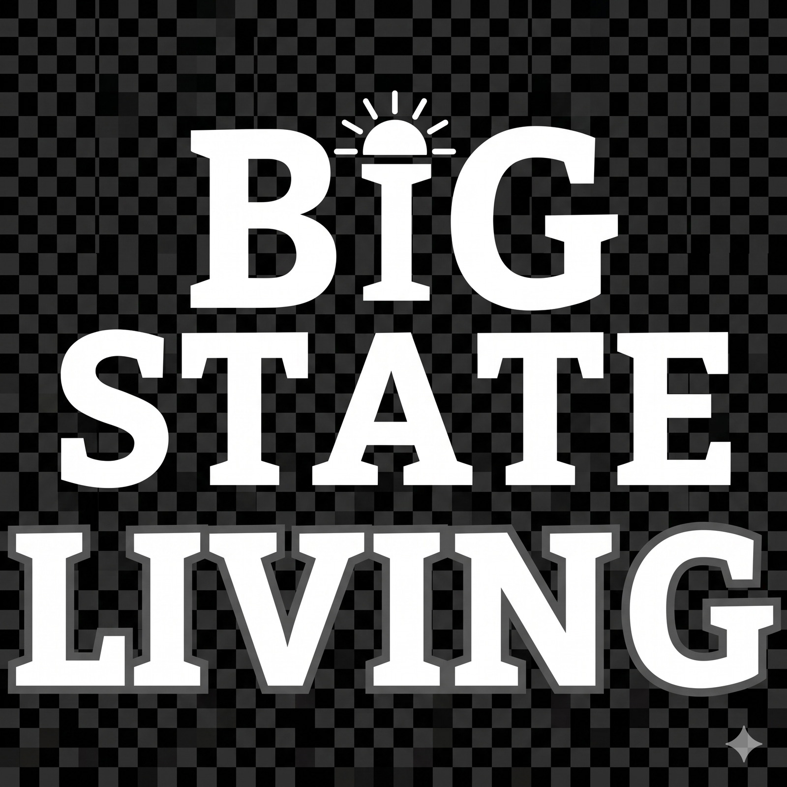 bigstateliving.com