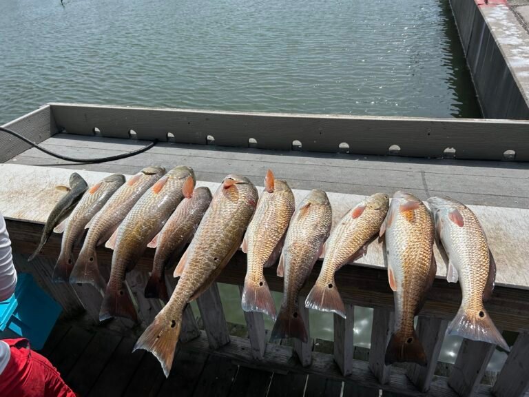 Rockport TX waterfront — vacation rental area on Aransas Bay